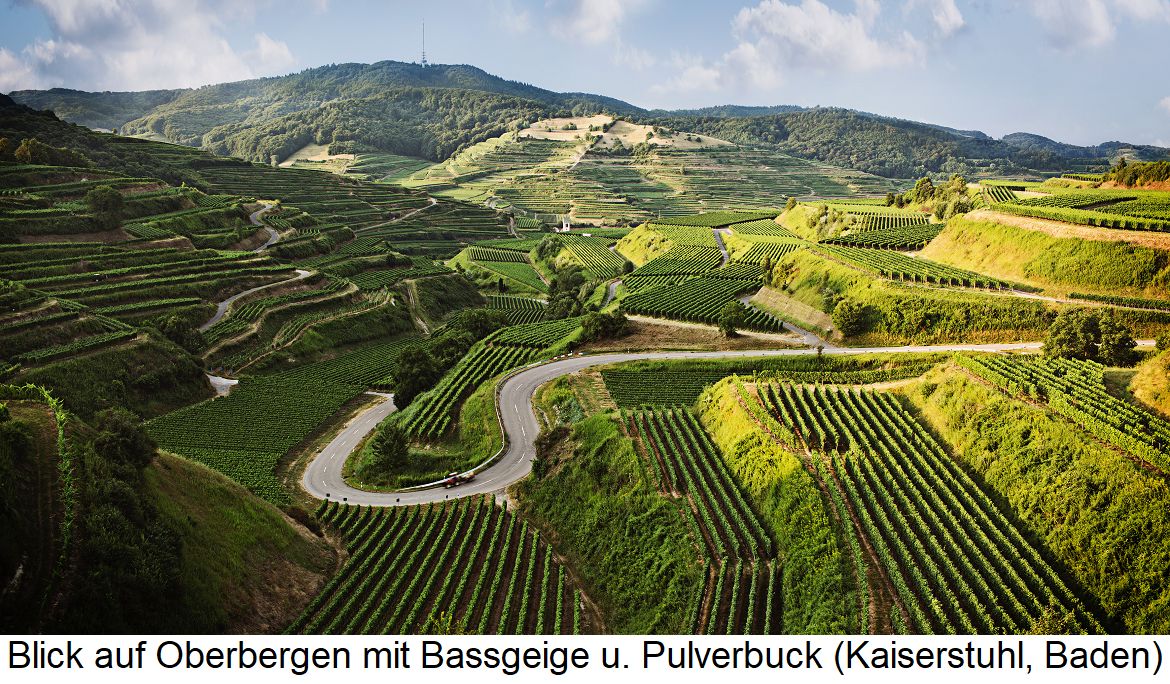 Baden Wine Region